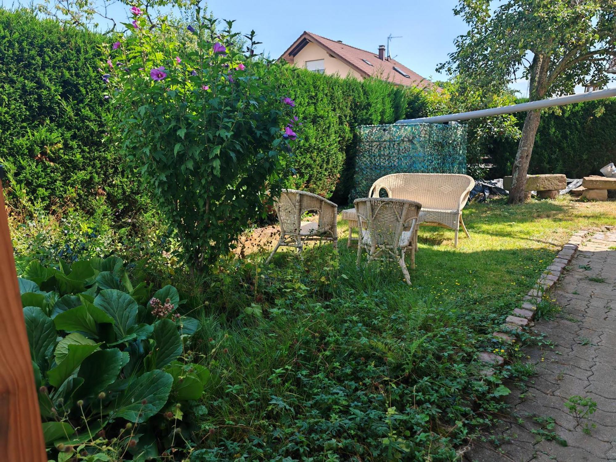 Appartement " Le Chardonneret " Issenheim Zewnętrze zdjęcie